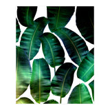 Cosmic Banana Leaves (Print Only) thumbnail
