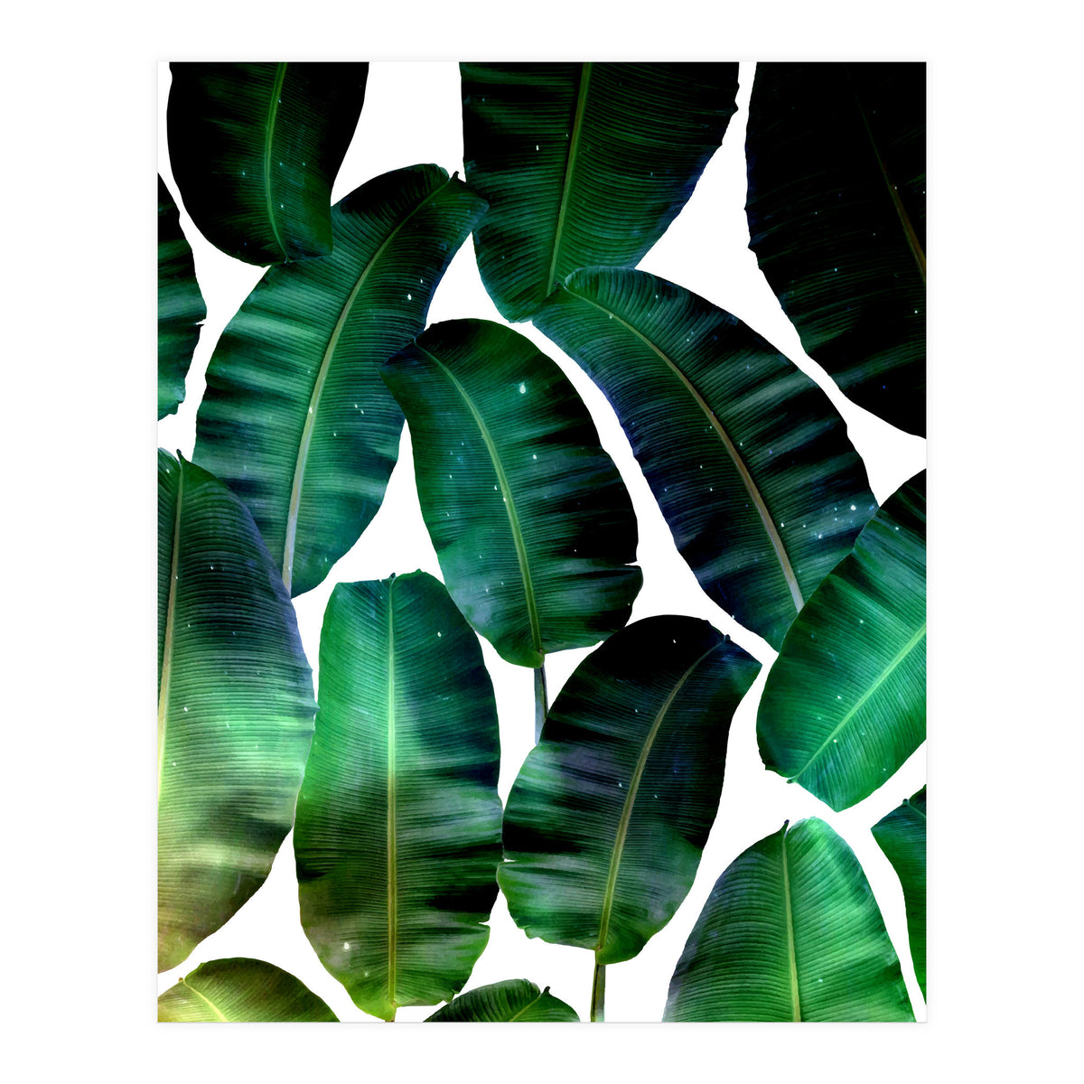 Cosmic Banana Leaves (Print Only)