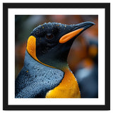 King Penguin With Water Droplets In Rain thumbnail