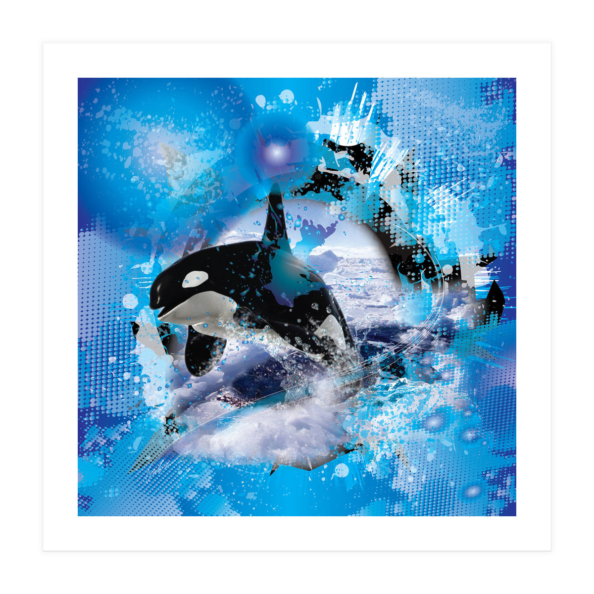 Orca (Print Only)
