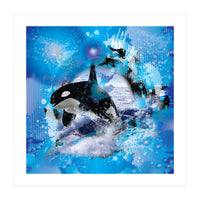 Orca (Print Only)