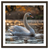 Graceful Swan Gliding On Reflective Water Surface thumbnail