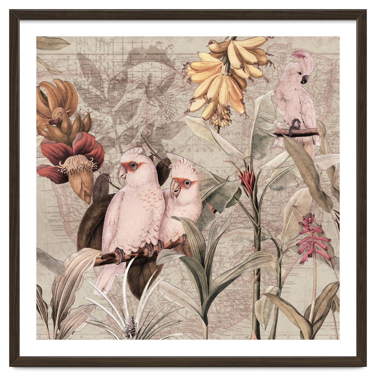 Cockatoo Exotic Bird Jungle