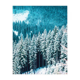 Rainforest #society6 #decor #buyart (Print Only) thumbnail