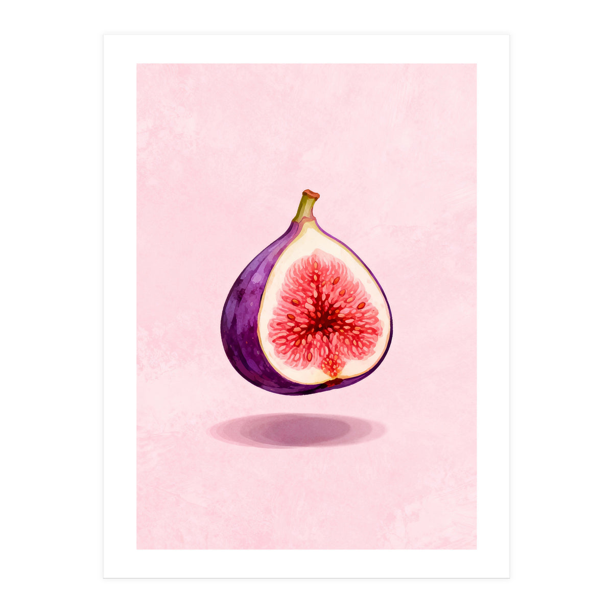 Fresh Figs, Watercolor Fruit, Mediterranean Still Life (Print Only)