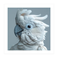 White Cockatoo Bird Portrait Close Up (Print Only)