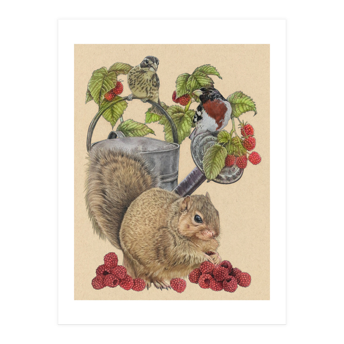 Squirrel Bgmatch (Print Only)