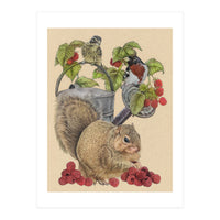 Squirrel Bgmatch (Print Only)