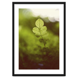 Out of the green thumbnail
