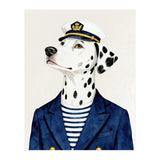 Dalmatian dog As captain (Print Only) thumbnail