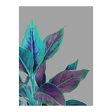 Still Nature (Print Only) thumbnail