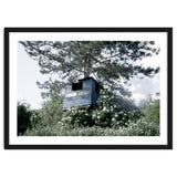 Blue hut on the tree thumbnail