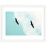 Crane(s) V thumbnail