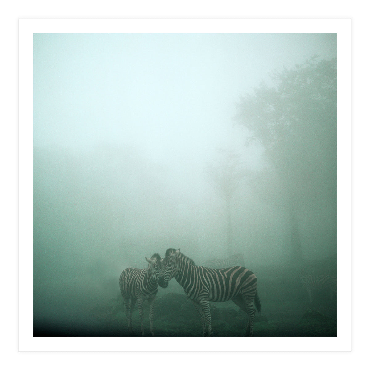 Silence of breath - 11 (Print Only)