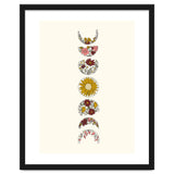 Floral Phases Of The Moon thumbnail