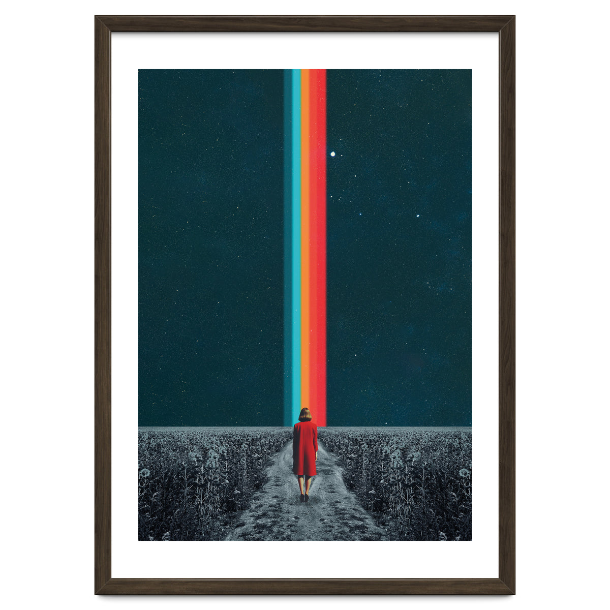 Follow Your Own Path