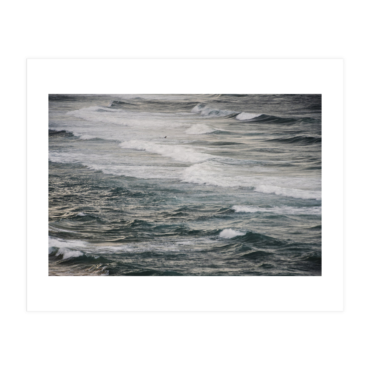 Winter Surfing V (Print Only)