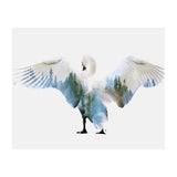 Swan (Print Only) thumbnail