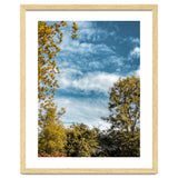 Autumn Evening thumbnail