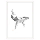Whale thumbnail