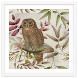 Autumn Owl thumbnail