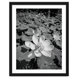 Hylas | Black & White thumbnail