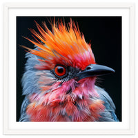 Close Up Of Exotic Bird With Vibrant Plumage