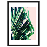 Palm V2 thumbnail