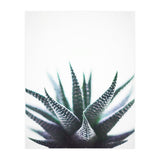 Green Topaz (Print Only) thumbnail