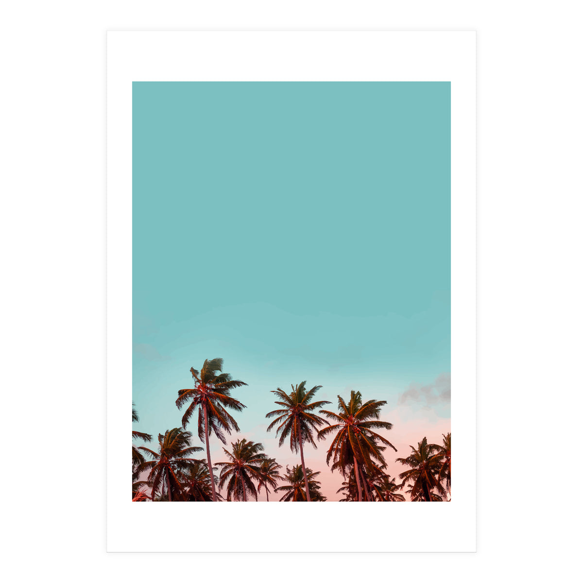 California (Print Only)