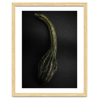 Gourds No 9 Color Version