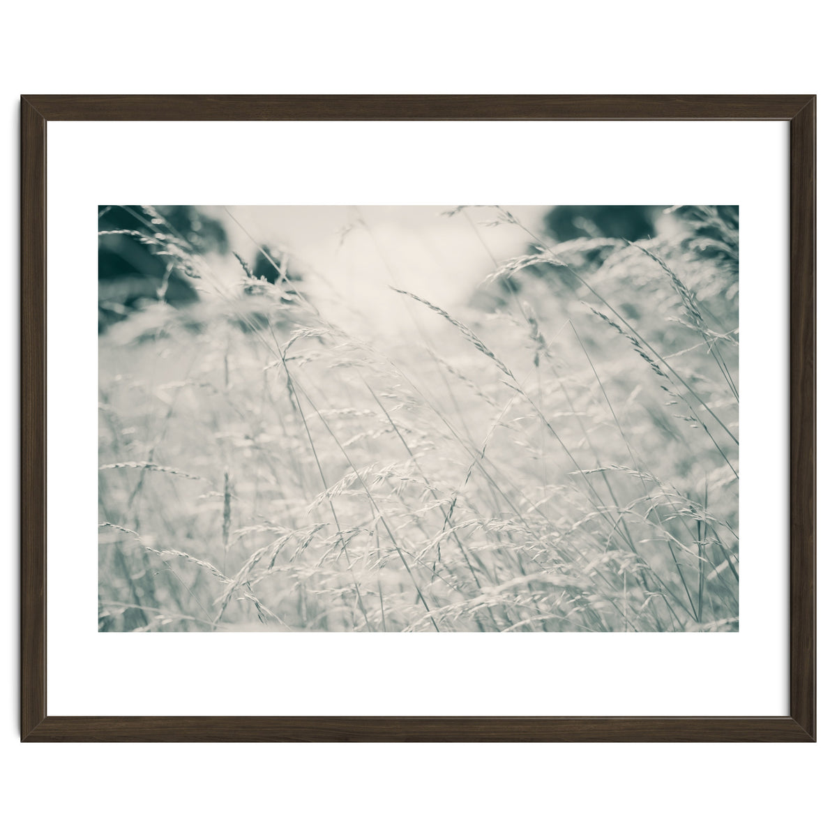 Walking Through Long Grass
