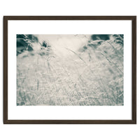 Walking Through Long Grass