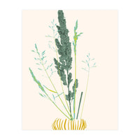 Plant based happyness Grasses 2 still life (Print Only)