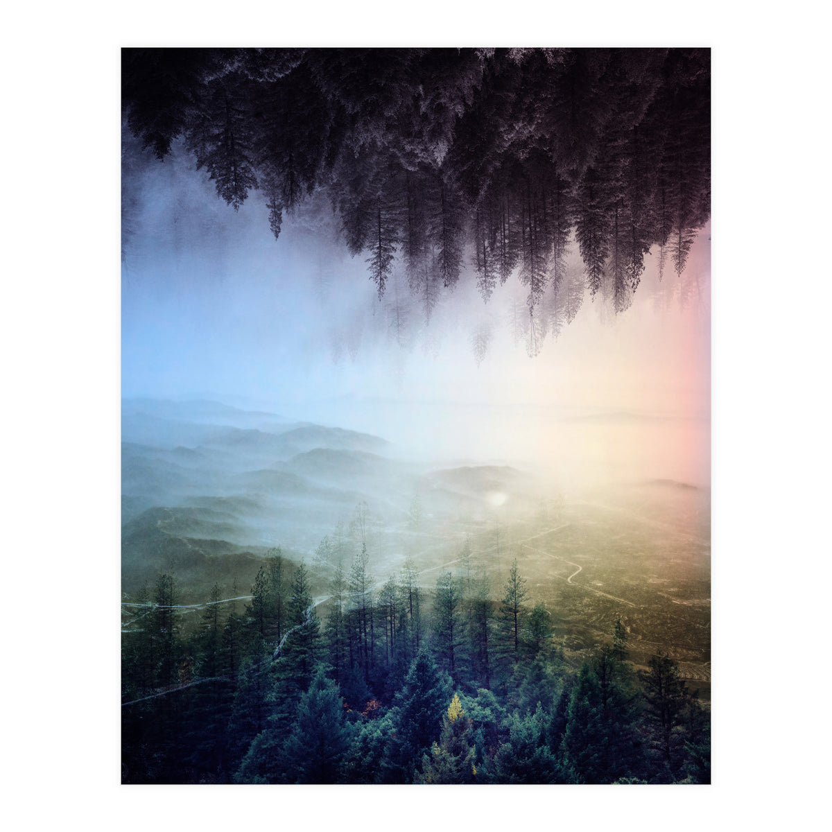 Magic Woods (Print Only)