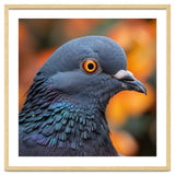 Close Up Of A Pigeon's Head And Neck thumbnail