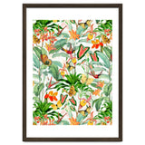 Birds And Butterflies In Tropical Jungle thumbnail