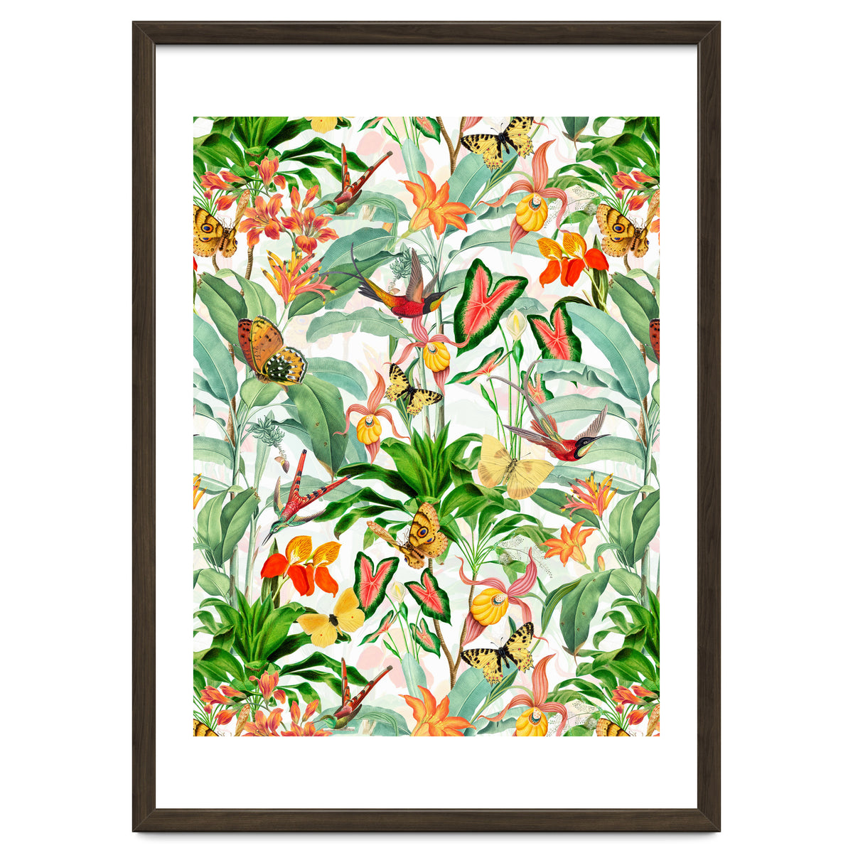 Birds And Butterflies In Tropical Jungle