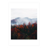 Fog (Print Only) thumbnail