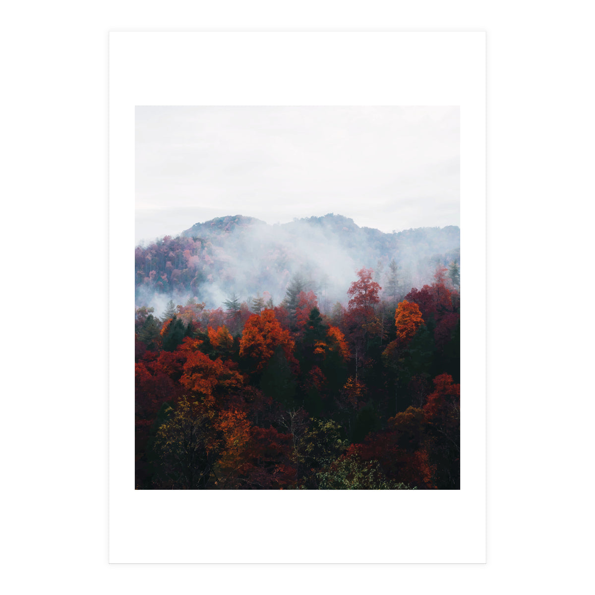 Fog (Print Only)