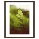 Out of the green thumbnail
