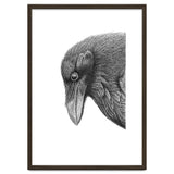 Huginn thumbnail