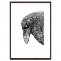 Huginn