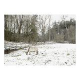 White horse in the snow field (Print Only) thumbnail