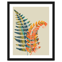 Colorful Fern Leaves