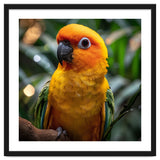 Sun Conure Parrot Colorful Bird Perched On Branch thumbnail