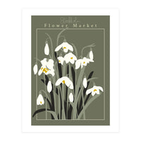 Flower Market Stockholm  Snowdrop (Print Only)