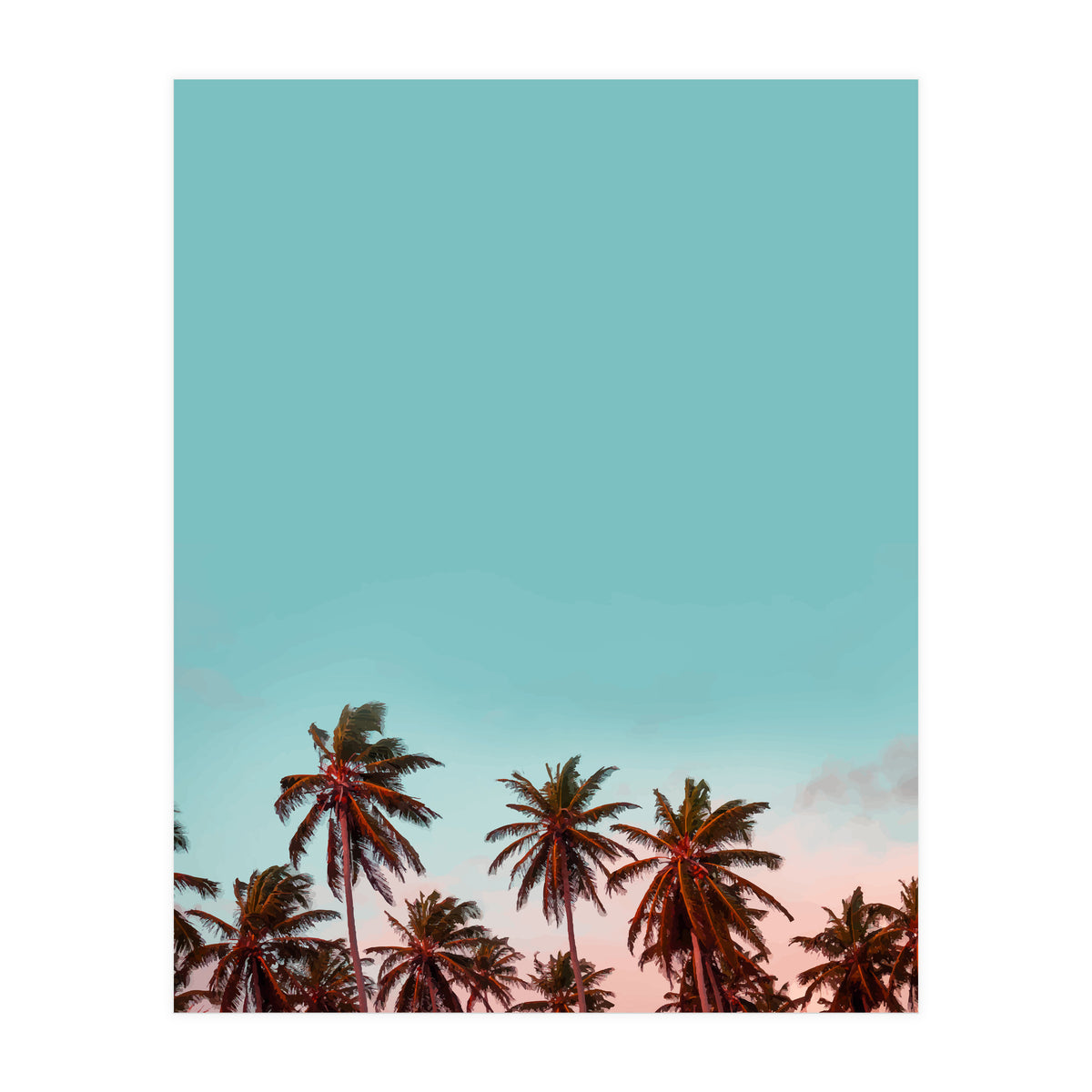 California (Print Only)