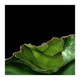 Green & Gold Agate Texture 06 (Print Only) thumbnail