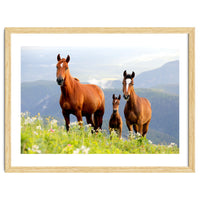 Three Horses